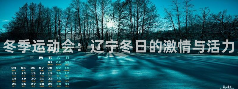 冬季运动会：辽宁冬日的激情与活力