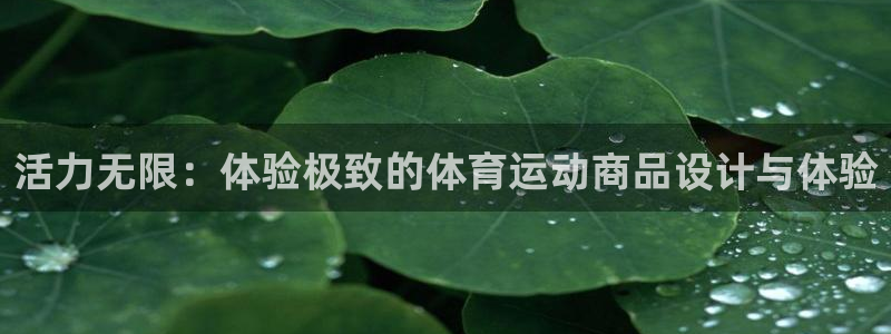 活力无限：体验极致的体育运动商品设计与体验