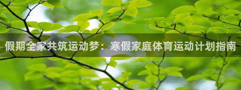 假期全家共筑运动梦：寒假家庭体育运动计划指南