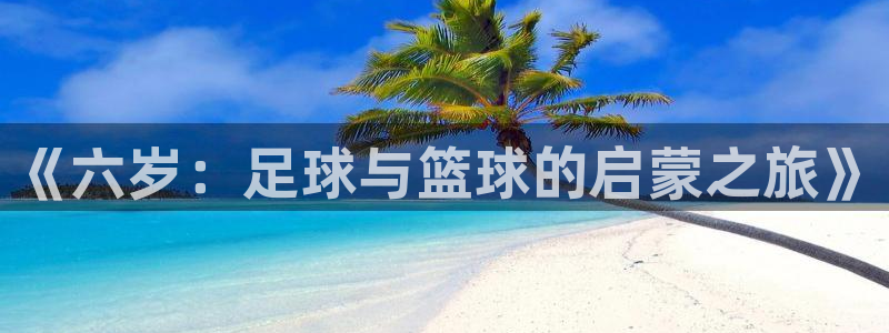 《六岁：足球与篮球的启蒙之旅》