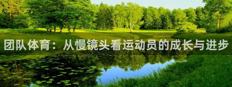 团队体育：从慢镜头看运动员的成长与进步