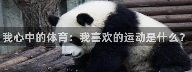 我心中的体育：我喜欢的运动是什么？