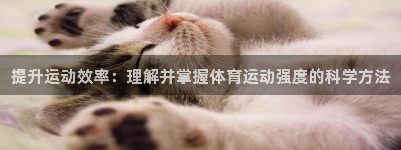 提升运动效率：理解并掌握体育运动强度的科学方法