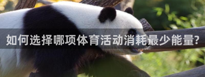 如何选择哪项体育活动消耗最少能量?