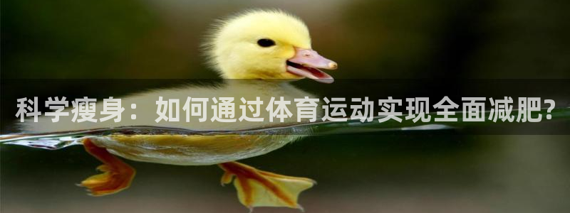 科学瘦身：如何通过体育运动实现全面减肥?