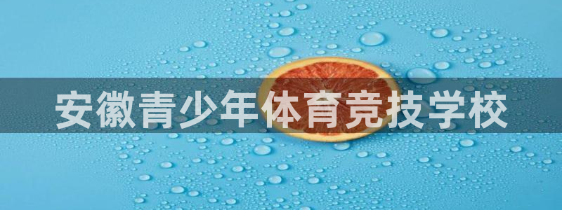 安徽青少年体育竞技学校