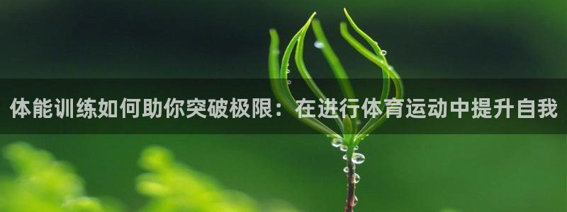 体能训练如何助你突破极限：在进行体育运动中提升自我