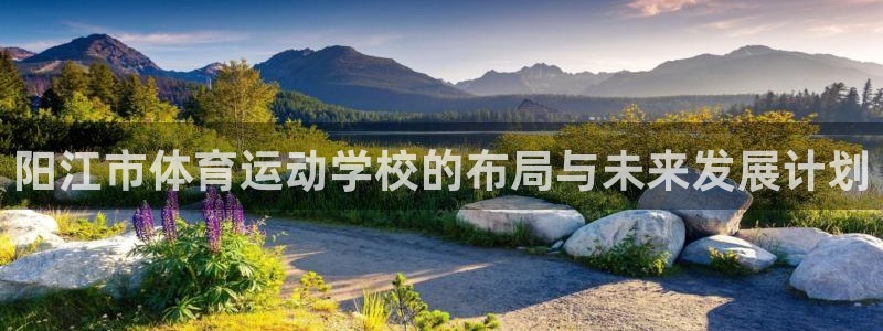 阳江市体育运动学校的布局与未来发展计划