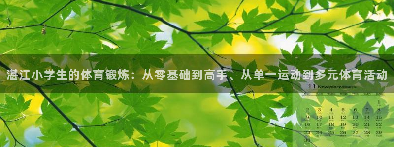 湛江小学生的体育锻炼：从零基础到高手、从单一运动到多元体育活动
