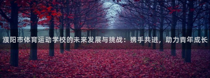 濮阳市体育运动学校的未来发展与挑战：携手共进，助力青年成长