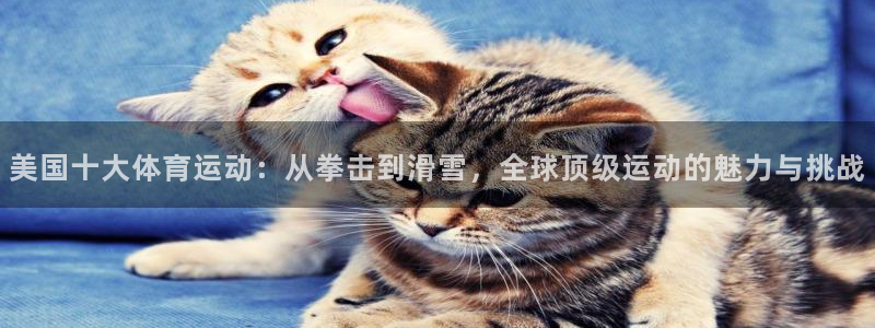 美国十大体育运动：从拳击到滑雪，全球顶级运动的魅力与挑战