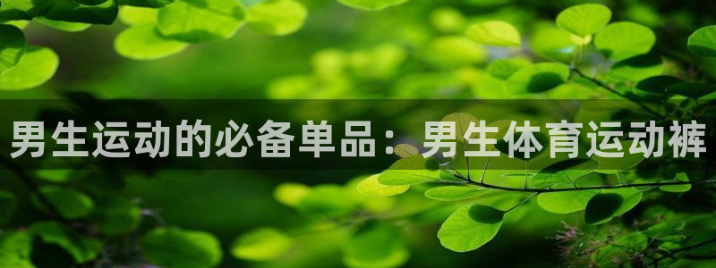 男生运动的必备单品：男生体育运动裤