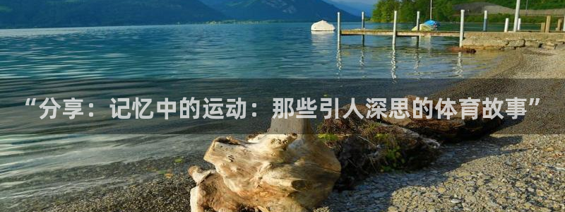 “分享：记忆中的运动：那些引人深思的体育故事”